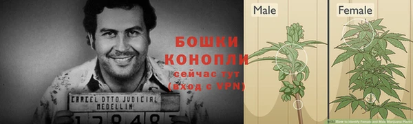 прущие крисы Белоозёрский