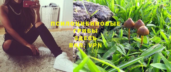 ПСИЛОЦИБИНОВЫЕ ГРИБЫ Семикаракорск