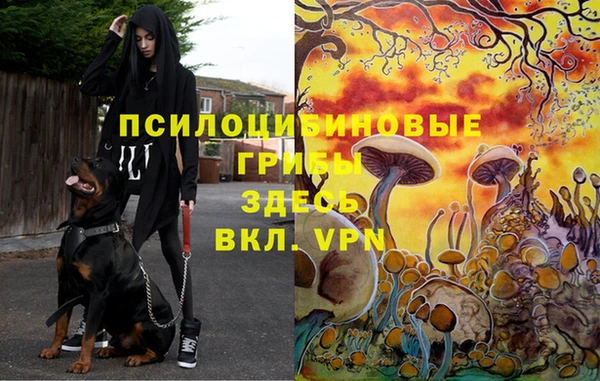амф Белокуриха