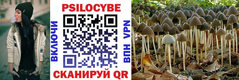 закладки  MEGA ссылки  Галлюциногенные грибы Psilocybe  Курлово 